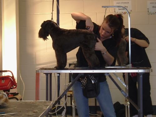 contest-grooming1