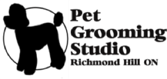 pet grooming studio